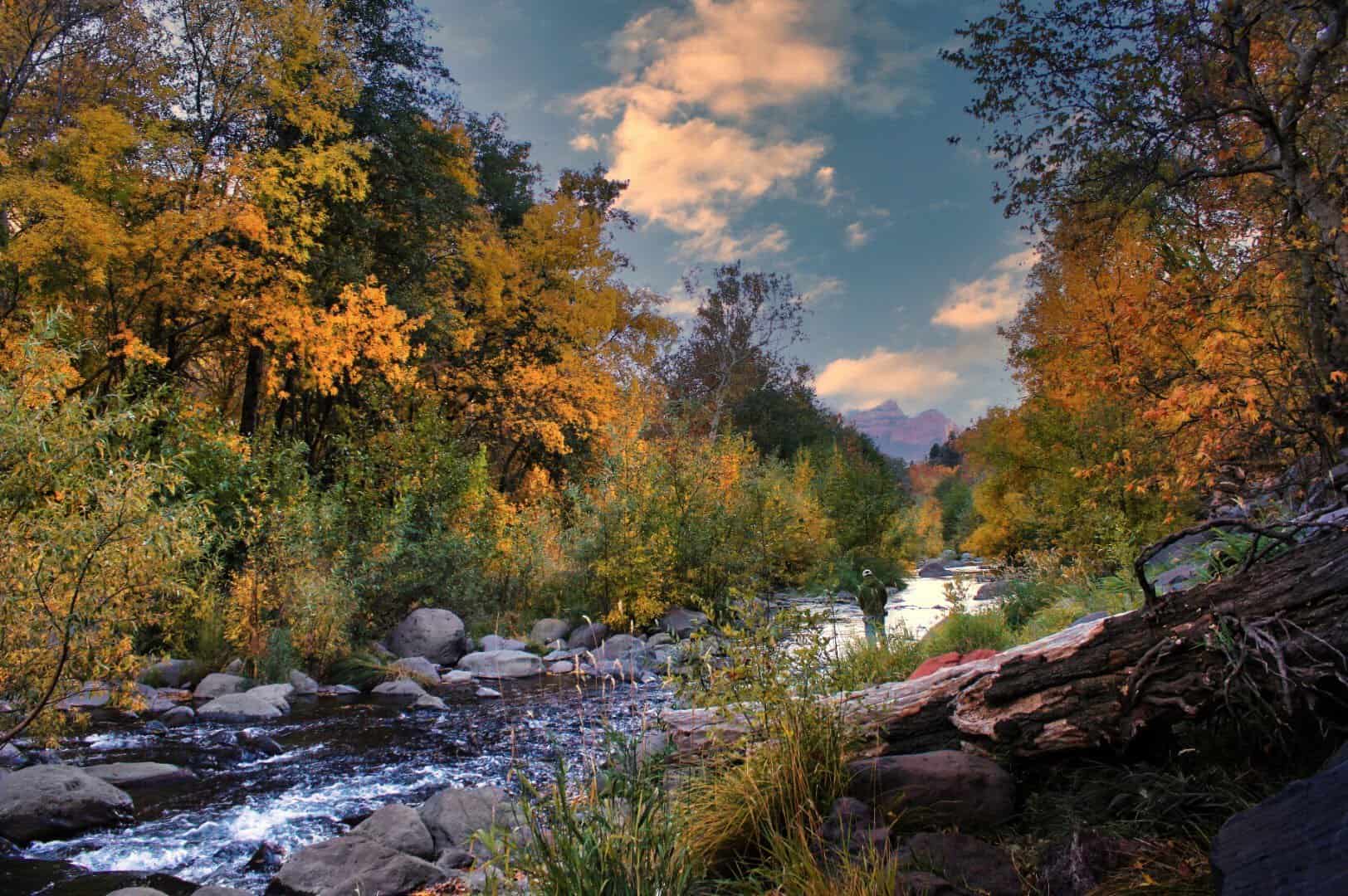 Creek through autumn foliage in Oak Creek Canyon near Sedona, Arizona