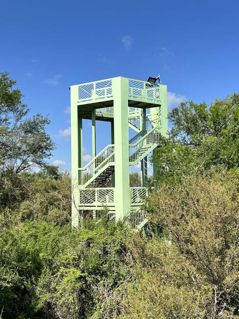 The green observation tower rising above the brush at Santa Ana National Wildlife Refuge