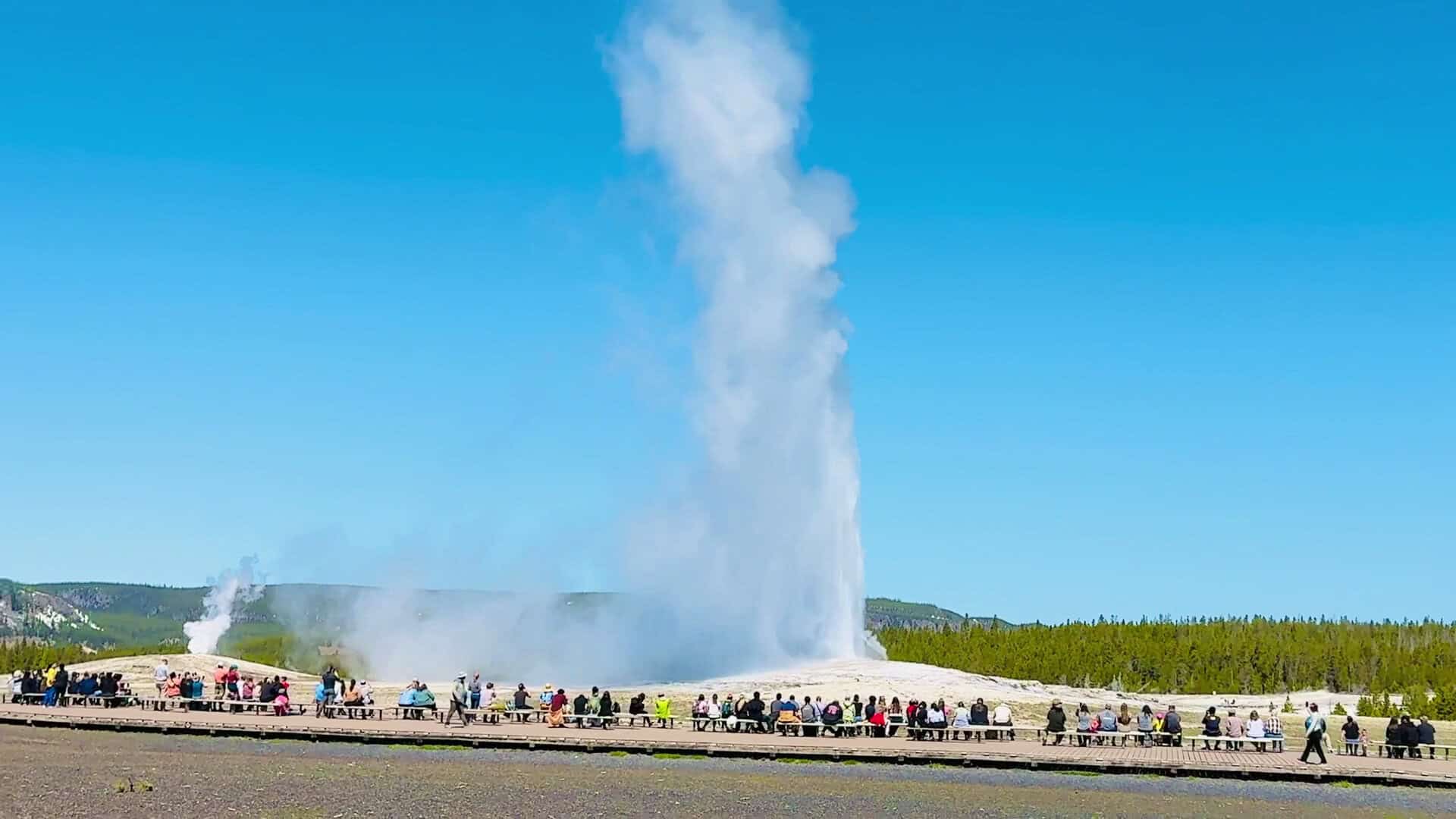 Old Faithful geyser erupting as a crowd watches, Yellowstone, Wyoming