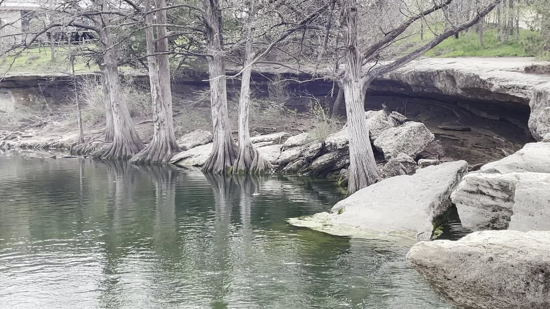 Calm Onion Creek lined with cypress trees at McKinney Falls State Park in Austin