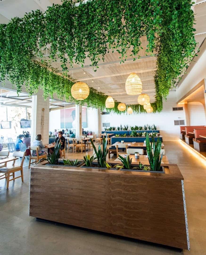 Oyster bar and dining room with hanging greenery at Pier 6 in San Leon, Texas