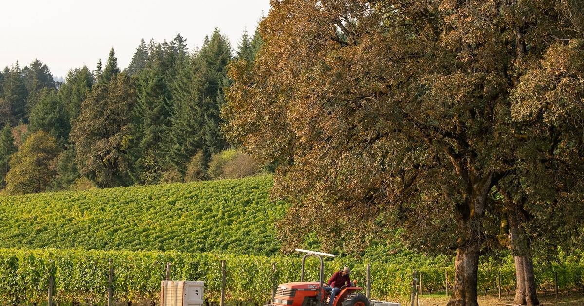 12 Pacific Northwest Wineries That Pour World-Class Wine With a View