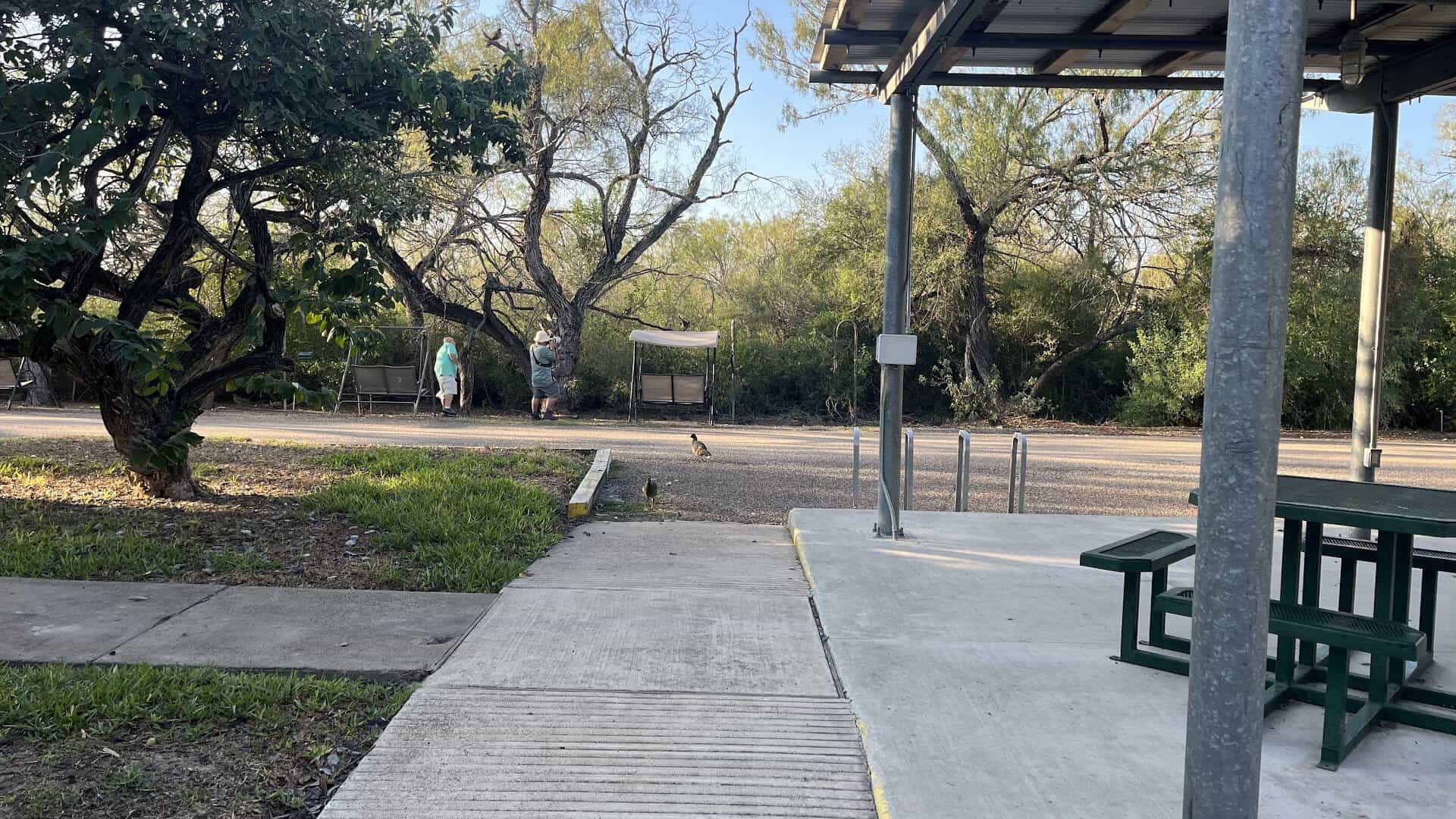 A shaded pavilion in the car-free interior of Bentsen-Rio Grande Valley State Park