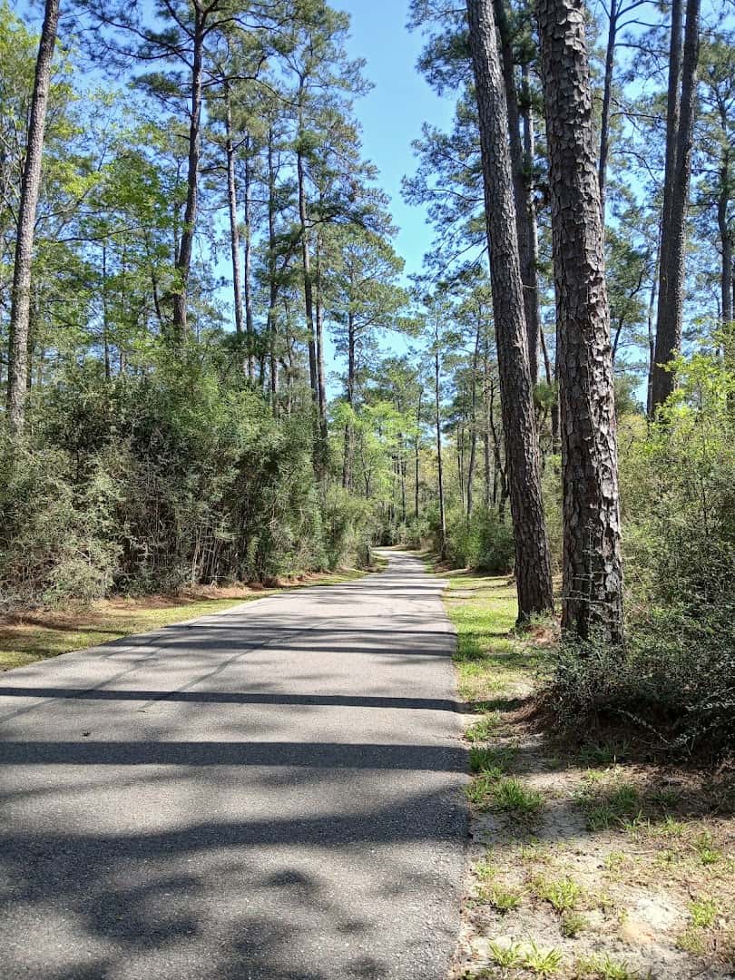 Paved Spring Creek Greenway trail winding through a pine forest
