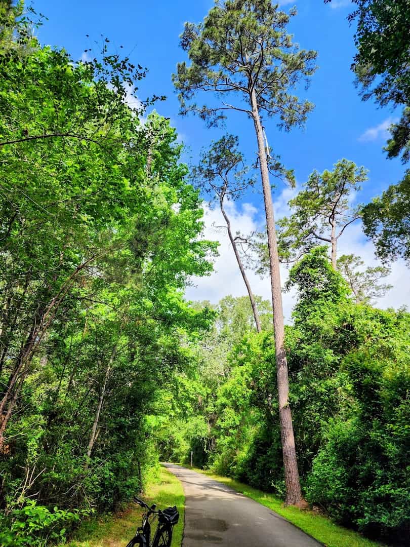 Paved greenway trail under a green forest canopy at Spring Creek Greenway