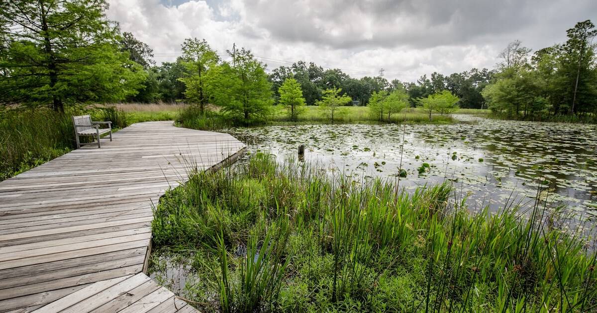 These 10 Peaceful Texas Walking Trails Are Perfect for Seniors