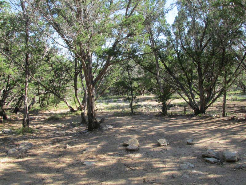 Cedar and juniper woods in the campground at Pedernales Falls State Park