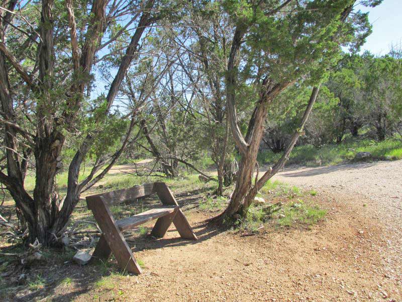 Wooden bench under cedar trees along a quiet path at Pedernales Falls State Park