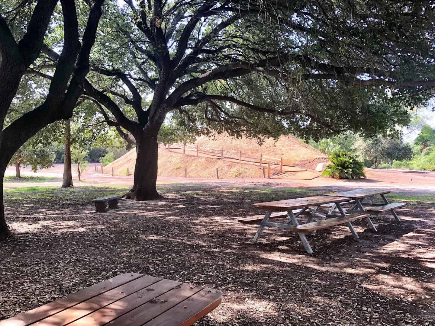 Shaded picnic tables beside the trails at the McAllen Nature Center