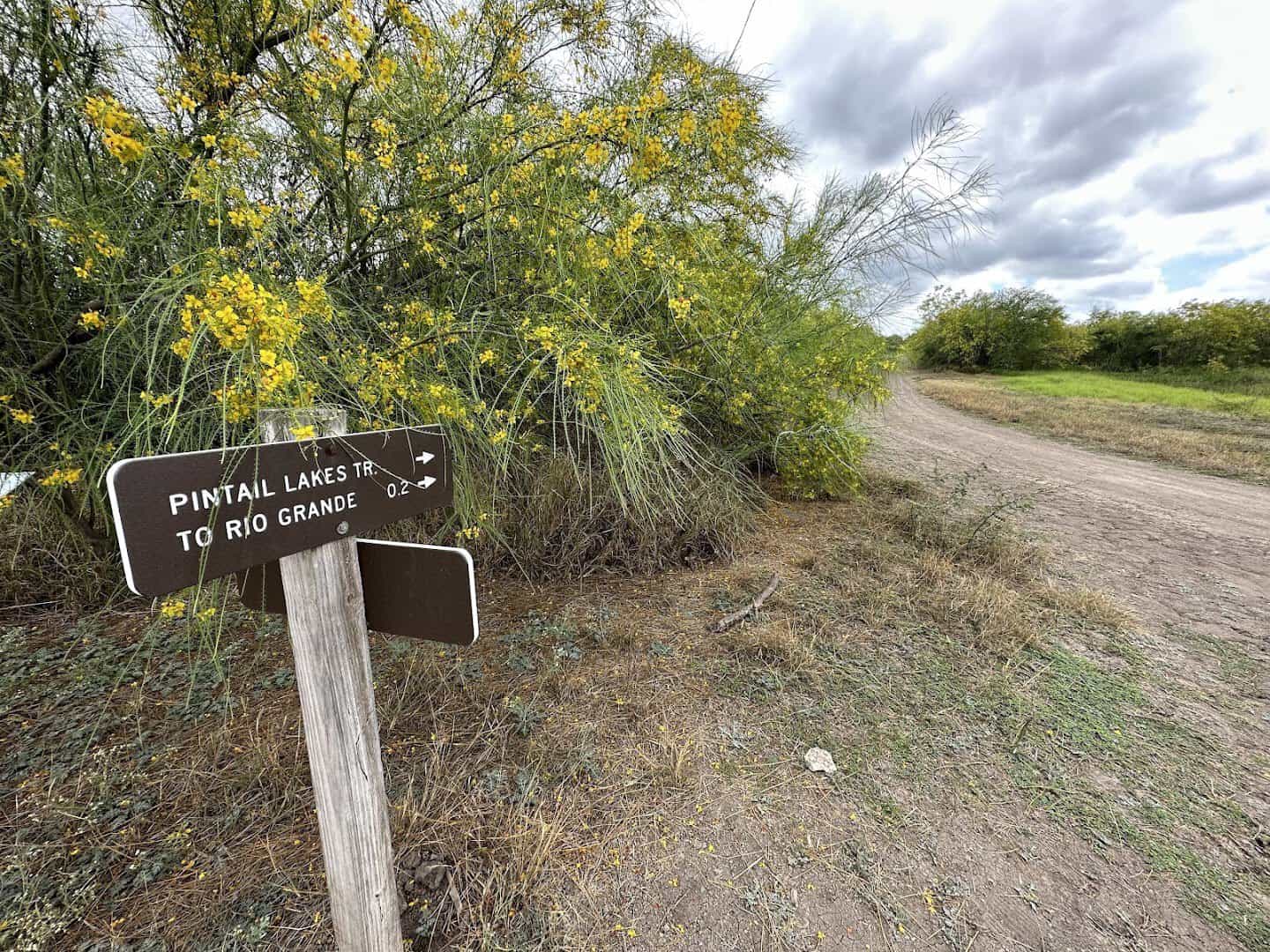 Pintail Lakes trail sign along the loop road at Santa Ana National Wildlife Refuge