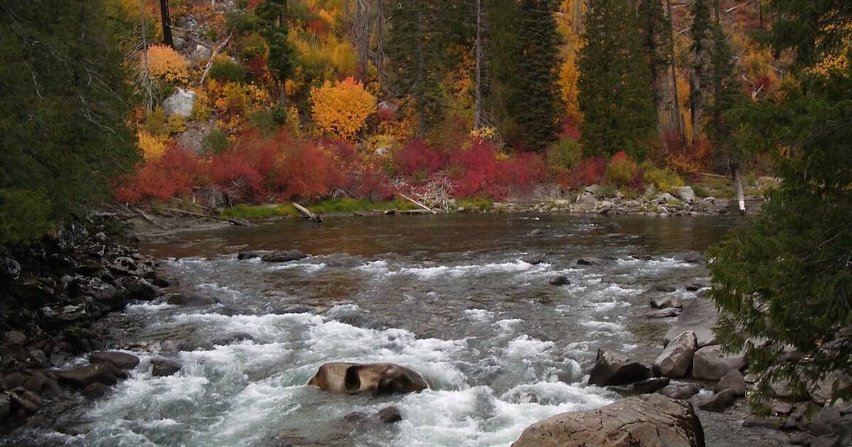 5 Pacific Northwest Towns That Explode With Color Every Fall
