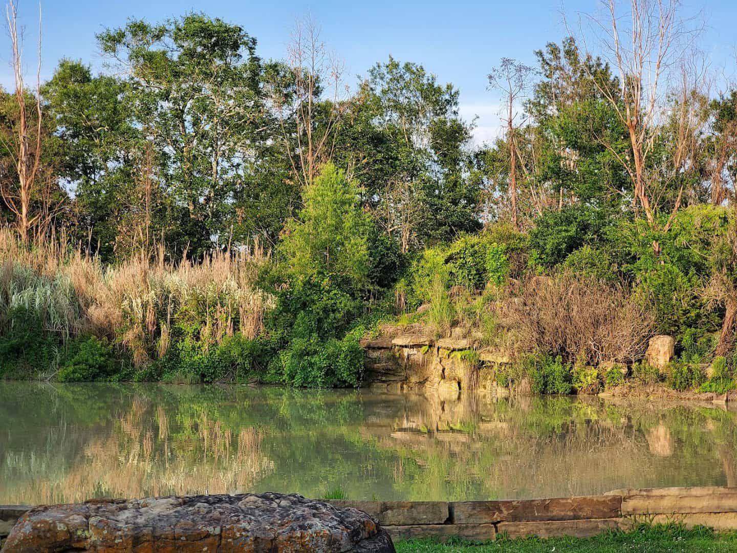 Tranquil pond with reeds and a rock outcrop at Beaumont Botanical Gardens