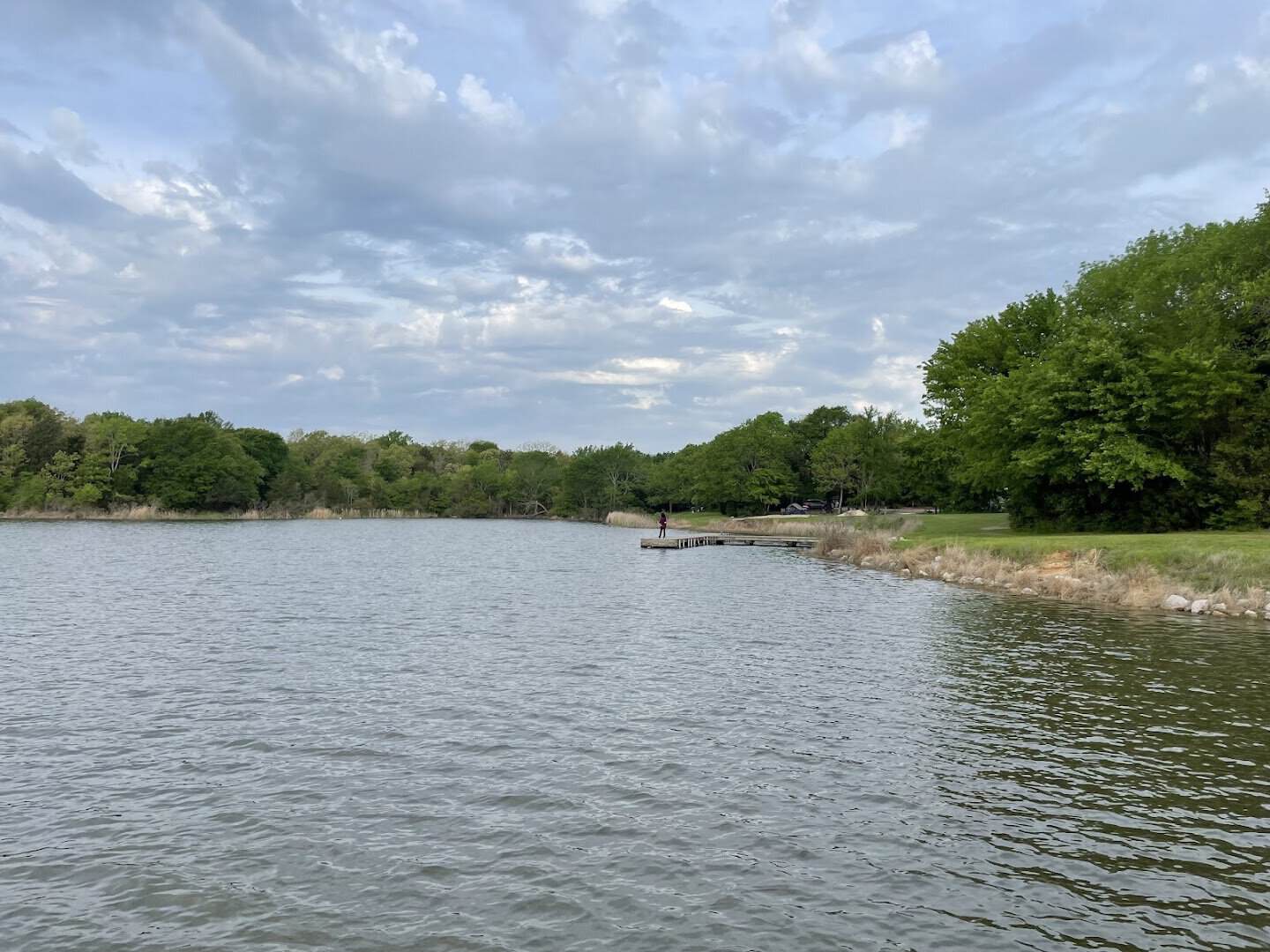 Calm lake cove at Purtis Creek State Park