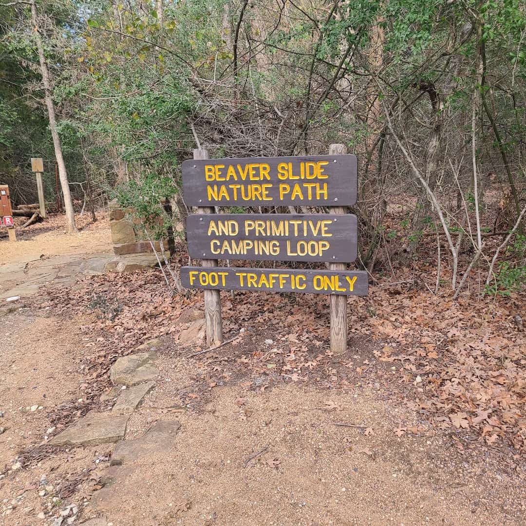Wooded hiking trail at Purtis Creek State Park