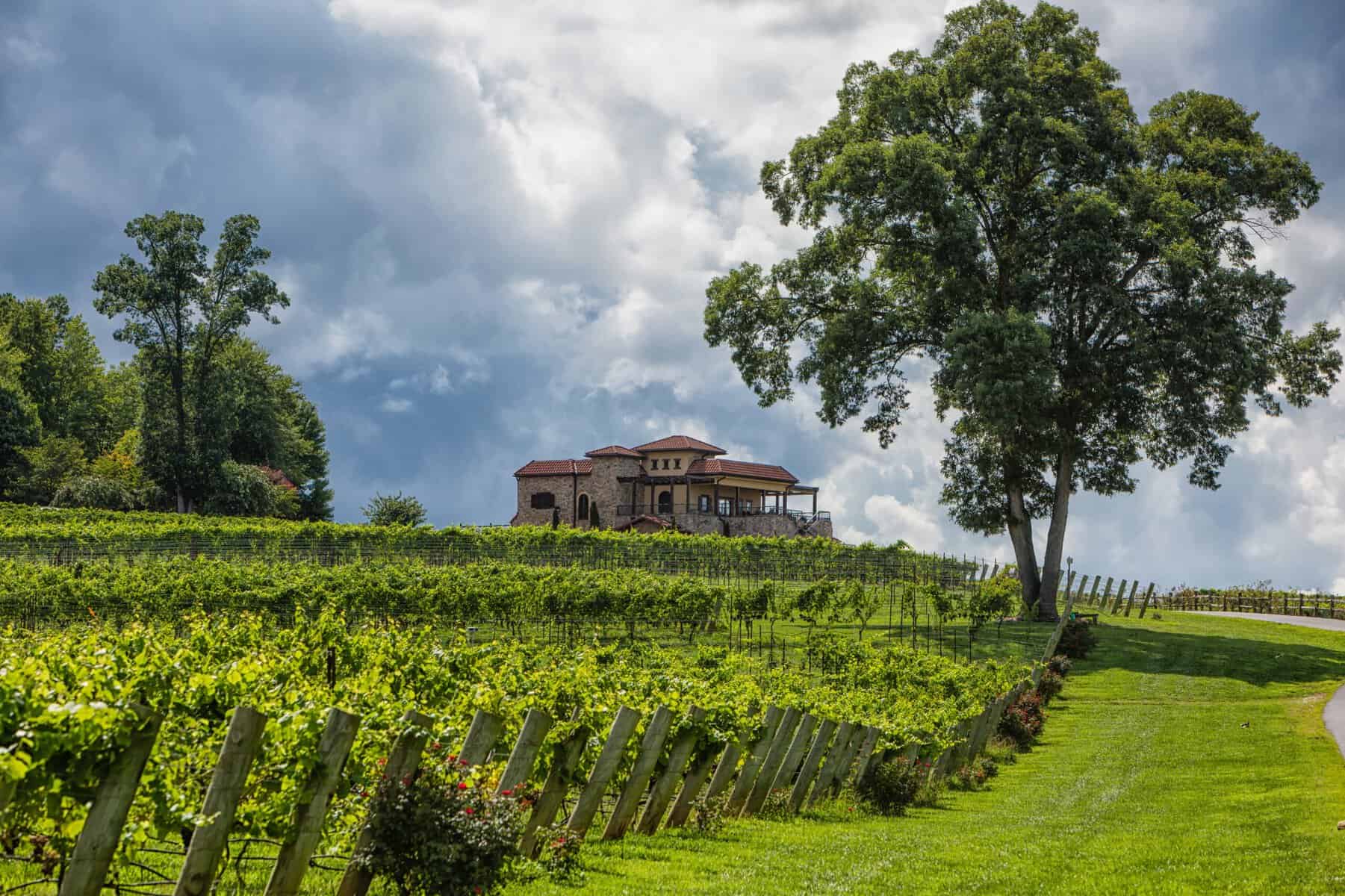 Tuscan-style villa and vineyard with Blue Ridge Mountains at Raffaldini Vineyards in Ronda, North Carolina