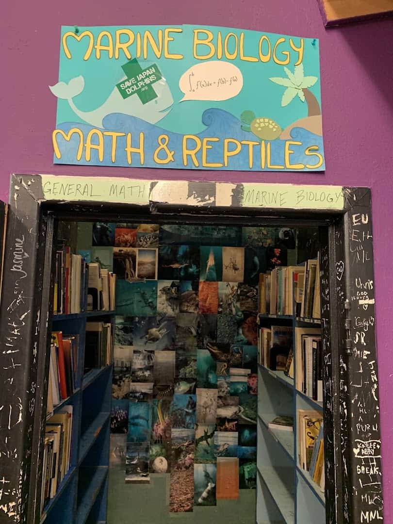 Ocean-blue themed marine biology corner at Recycled Books in Denton, Texas