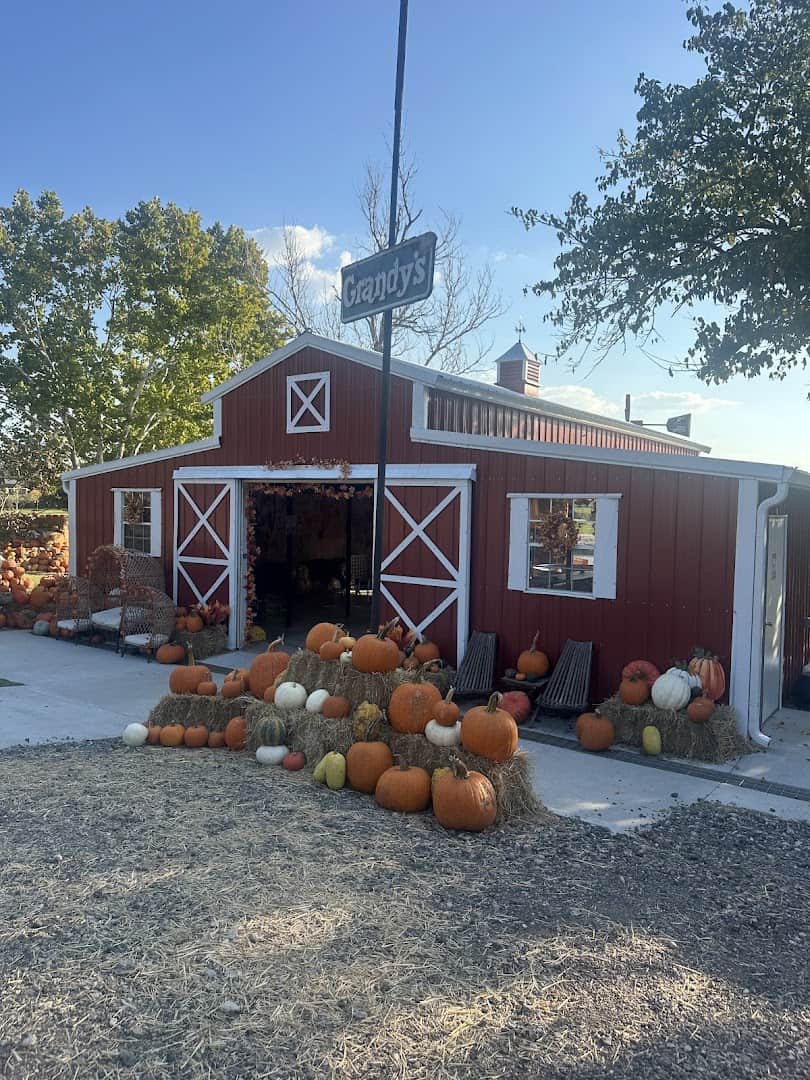 Red barn with pumpkins at Huddin Homestead Fun Farm in Rockwall, Texas