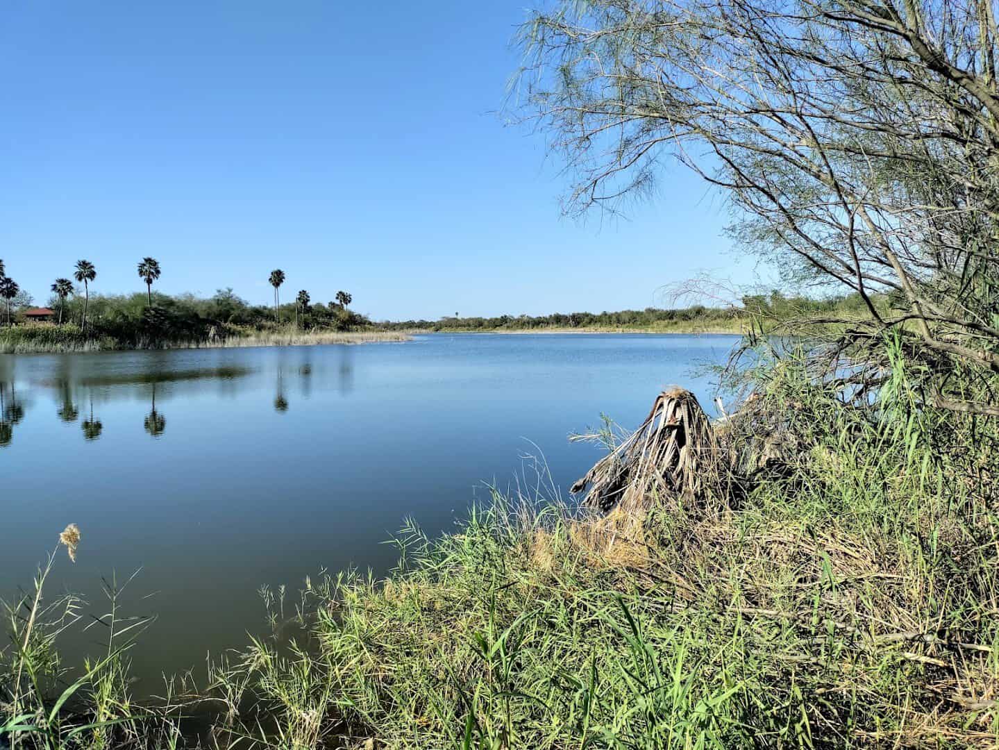 A resaca, or oxbow lake, at Bentsen-Rio Grande Valley State Park