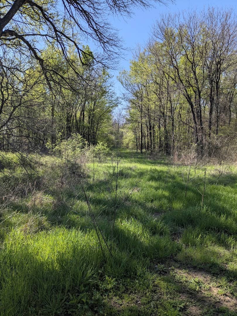 Open meadow ringed by trees at River Legacy Park in Arlington