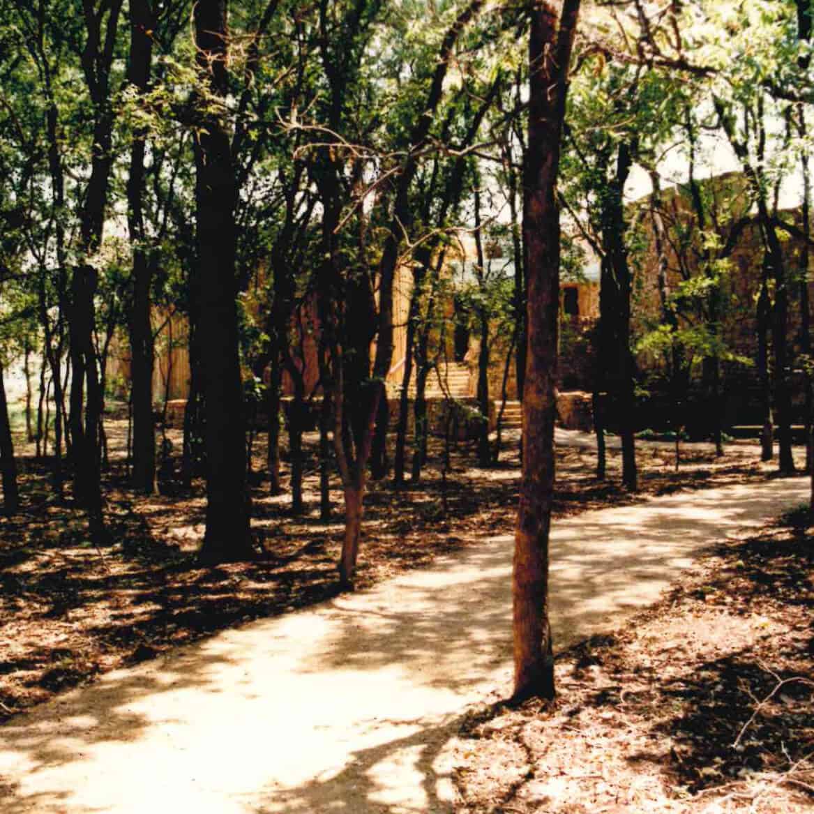 Shaded dirt trail through the bottomland forest toward the nature center at River Legacy Park in Arlington
