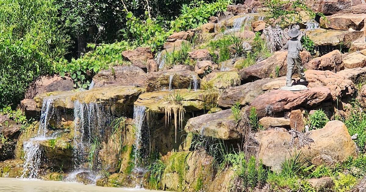 This Lush Texas Garden Is Free to Explore and Full of Scenery People Usually Pay to See