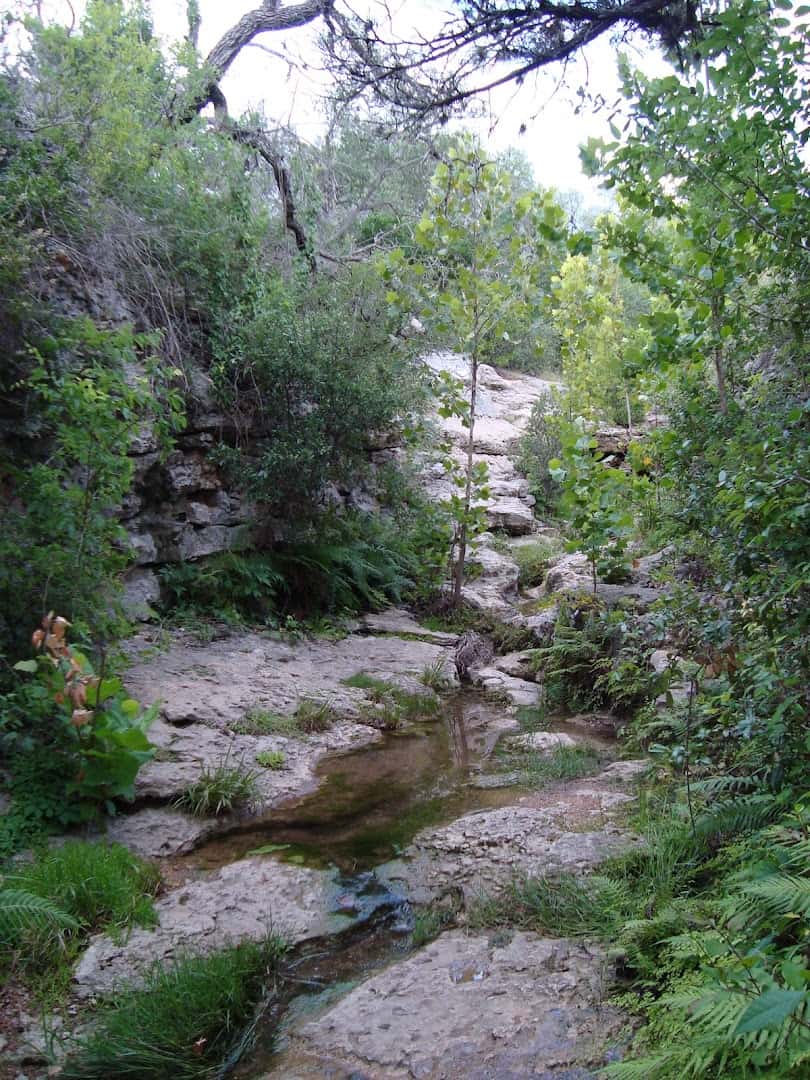 Clear creek running over limestone through the woods at Milton Reimers Ranch Park