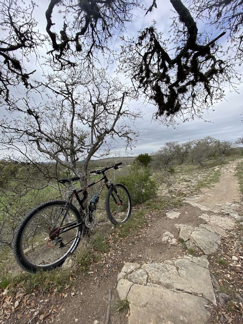 Rocky hand cut trail beneath a gnarled oak at Flat Rock Ranch in Comfort, Texas
