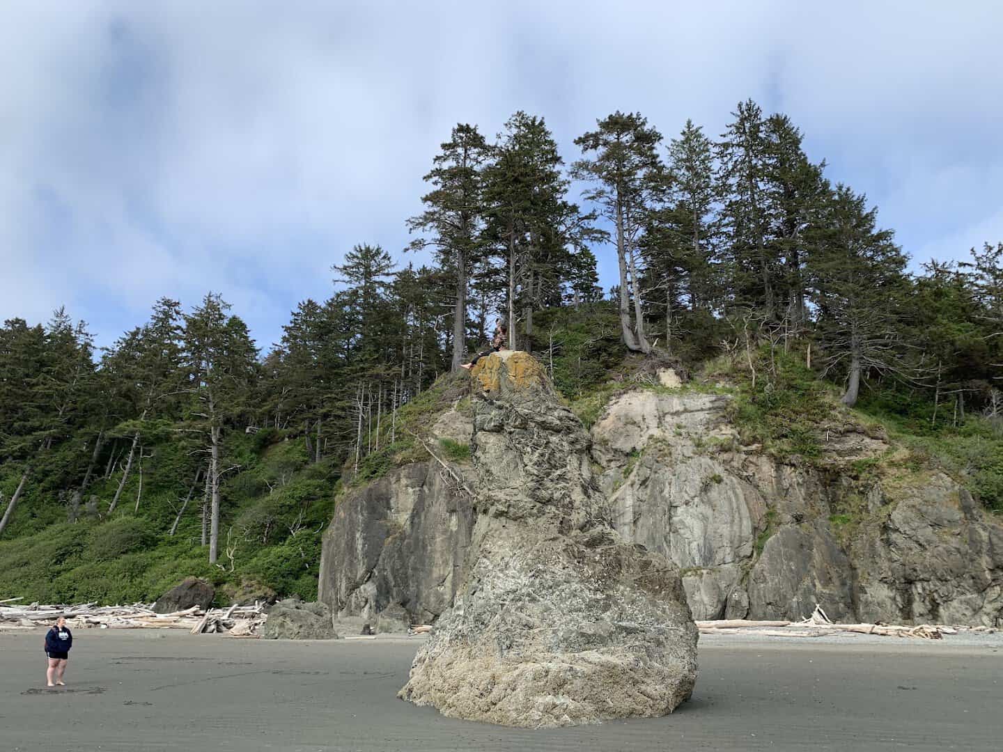 Sea stack rising over the shore at Ruby Beach, Olympic National Park, Washington