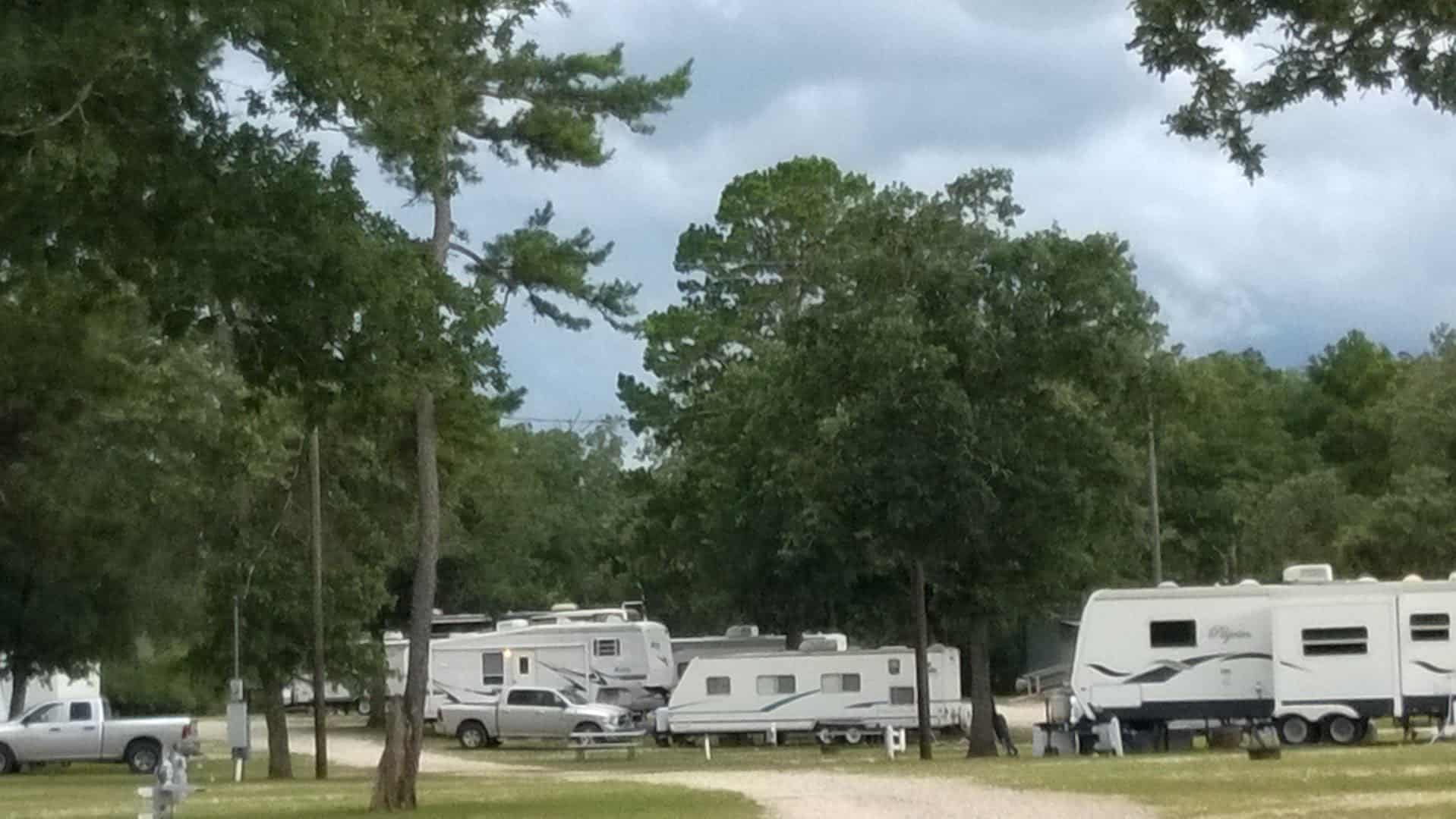RV sites lined up under the trees at Camp Tonkawa Springs in Garrison, Texas