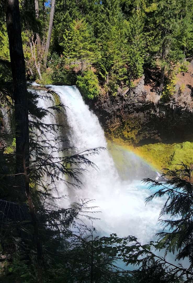 Sahalie Falls plunging through green forest on the upper McKenzie River near McKenzie Bridge, Oregon