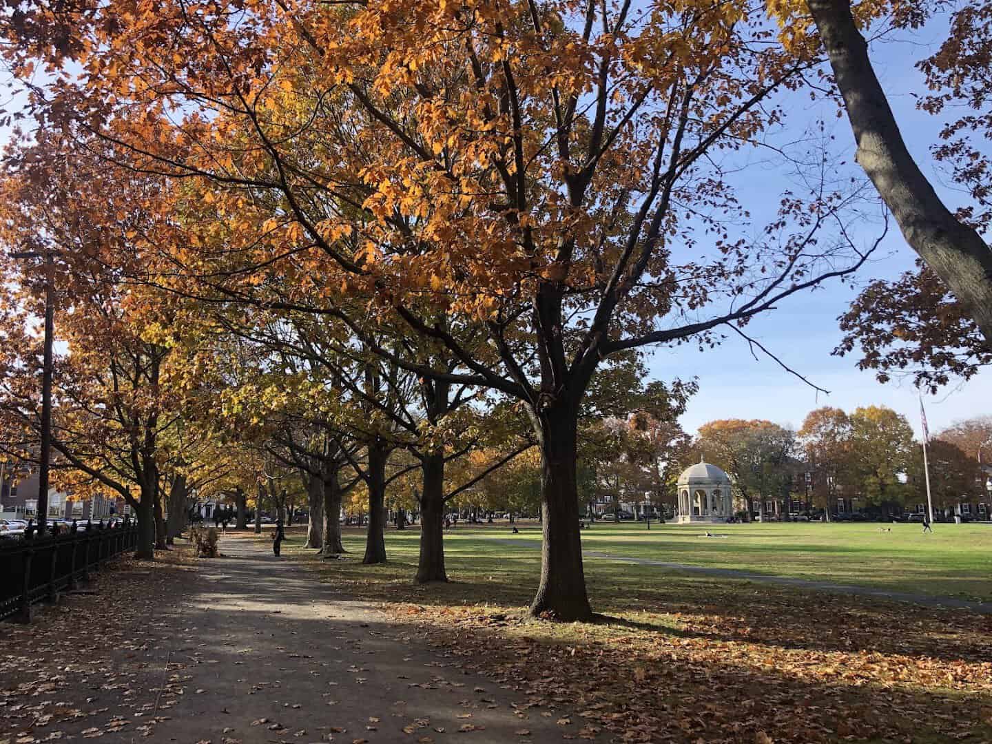Orange autumn canopy over a path on Salem Common in Salem, Massachusetts