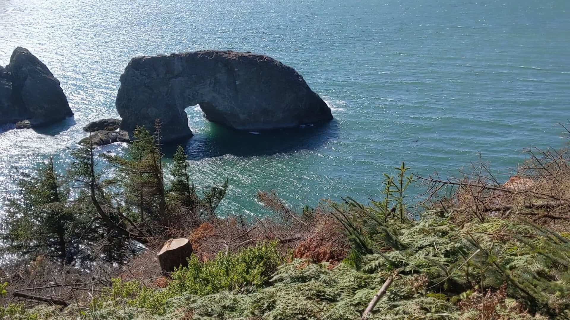 A sea arch and turquoise water at the Samuel H. Boardman State Scenic Corridor near Brookings, Oregon