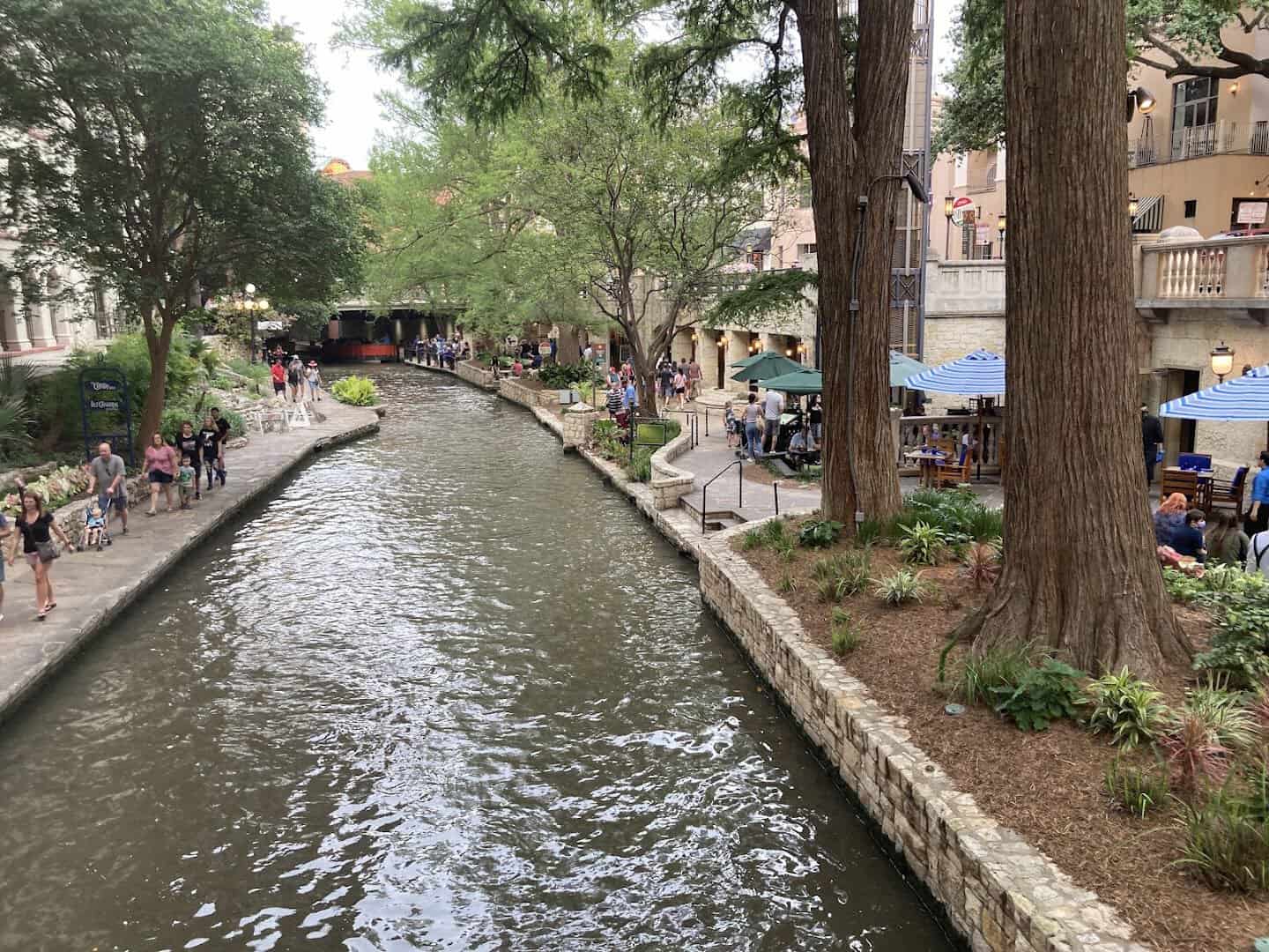 Stone footpaths and cypress trees along the San Antonio River Walk in Texas