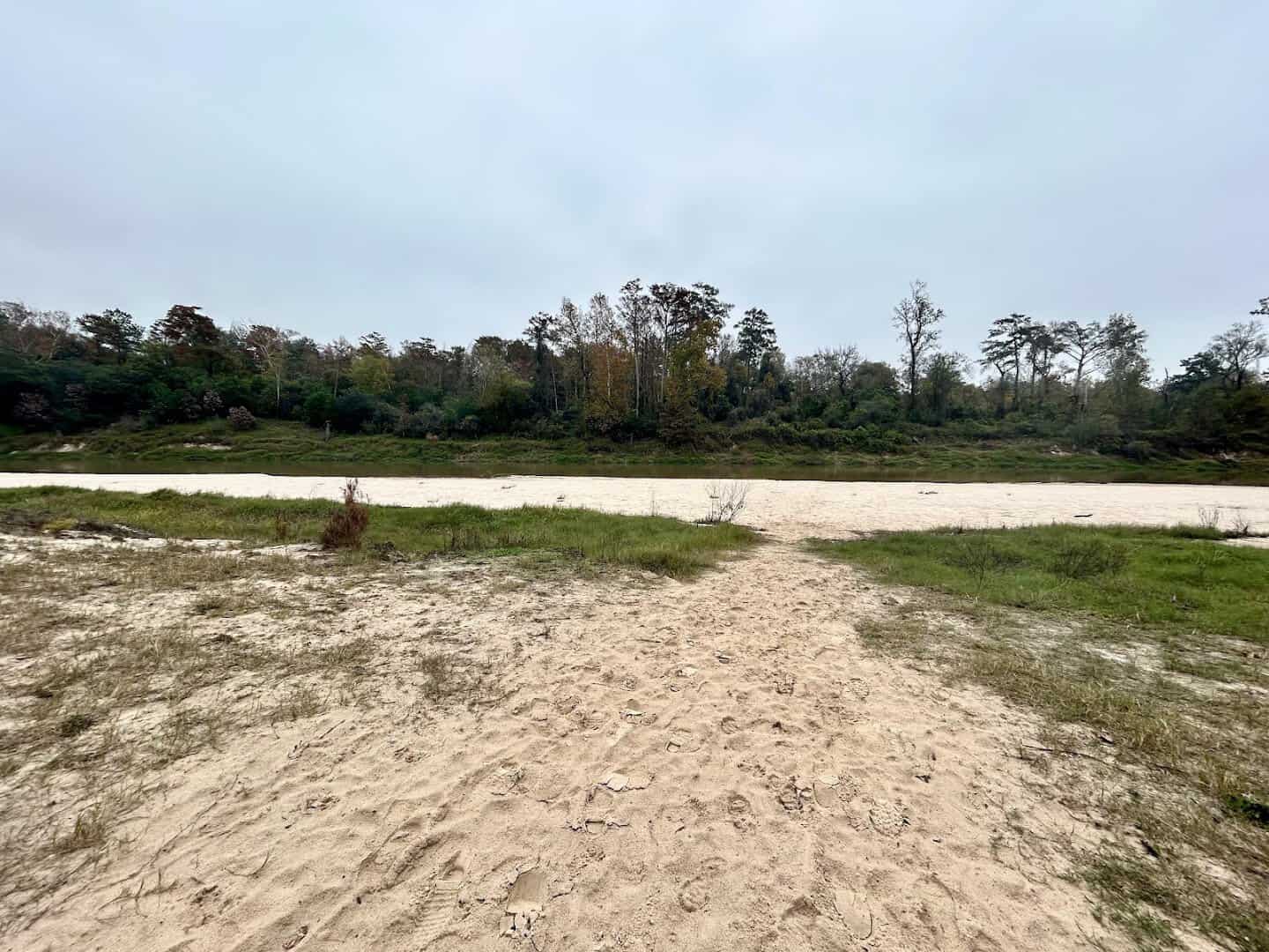 Sandy bank along Spring Creek in the greenway