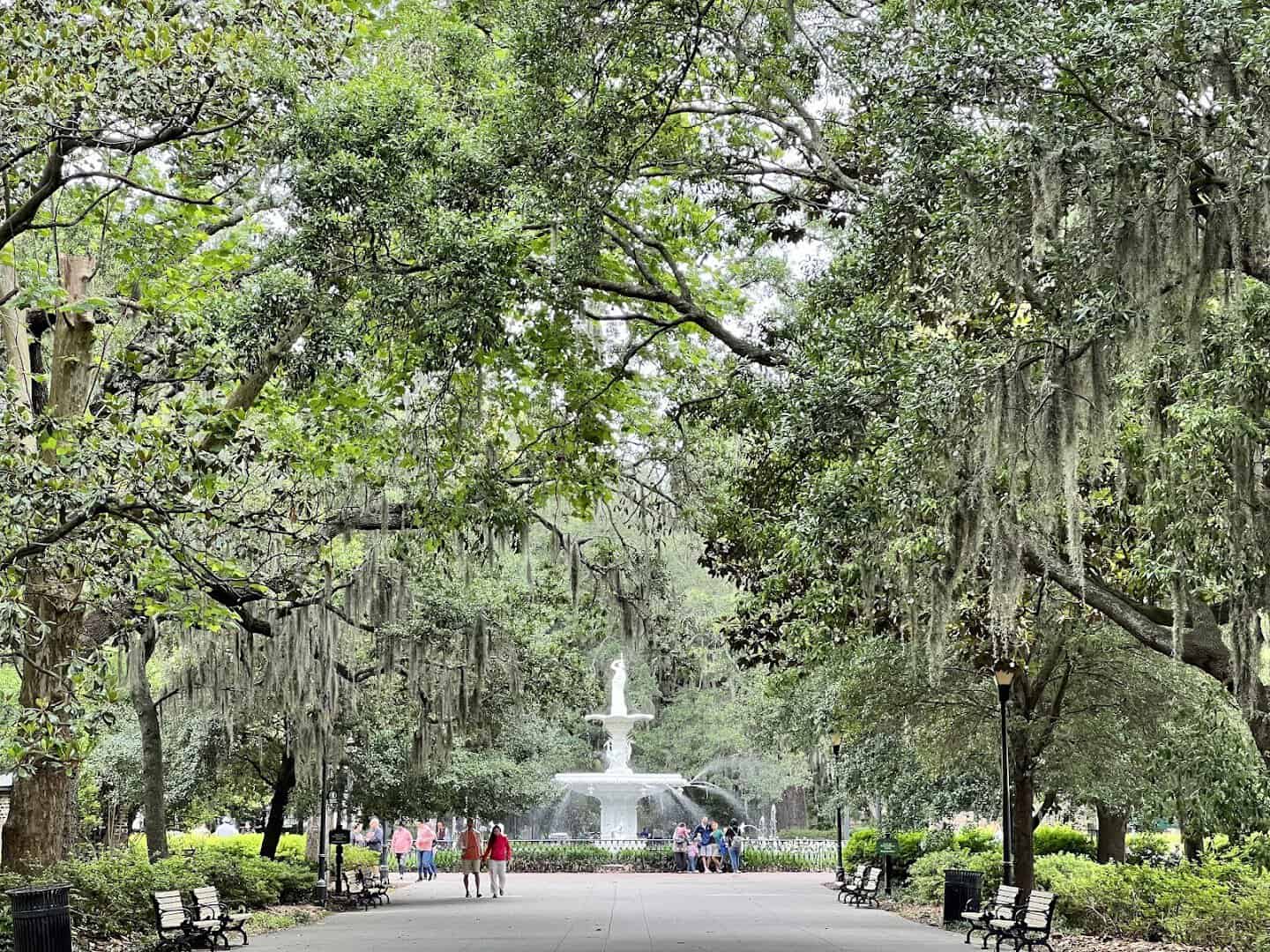 Live oak allee draped in Spanish moss in Forsyth Park, Savannah, Georgia
