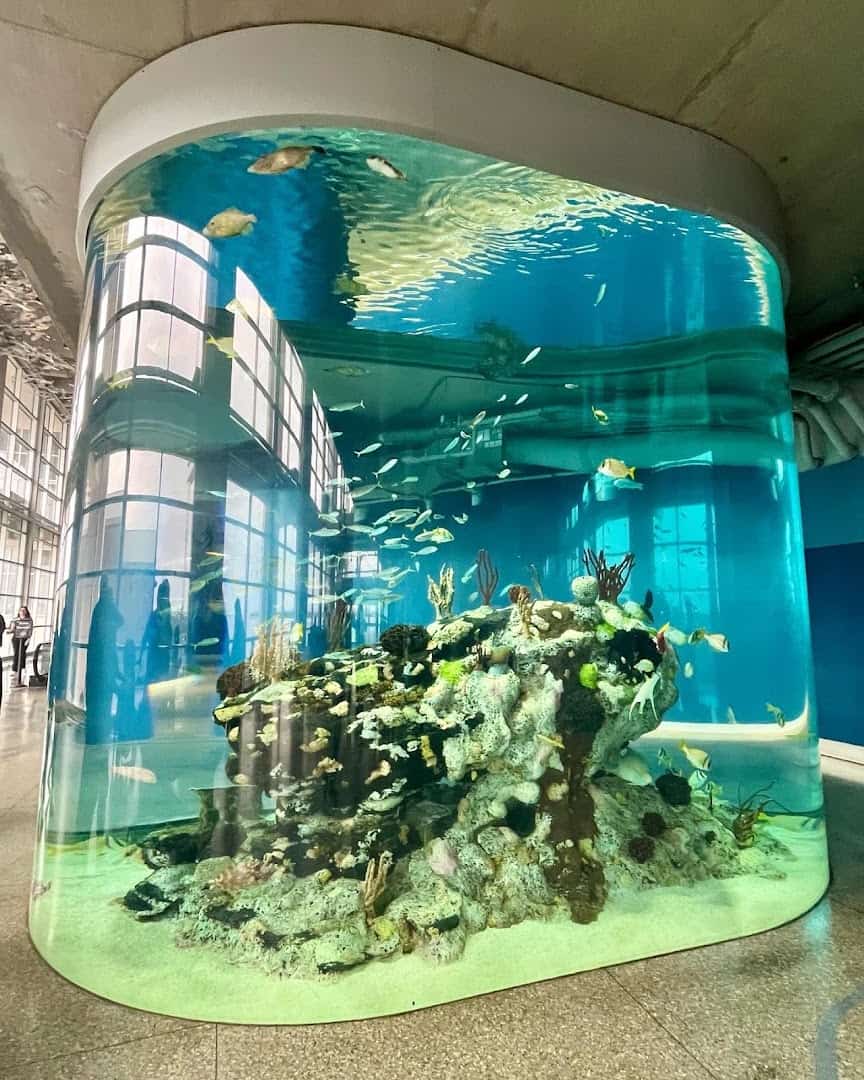 The two-story Great Ocean Tank at the South Carolina Aquarium in Charleston, SC