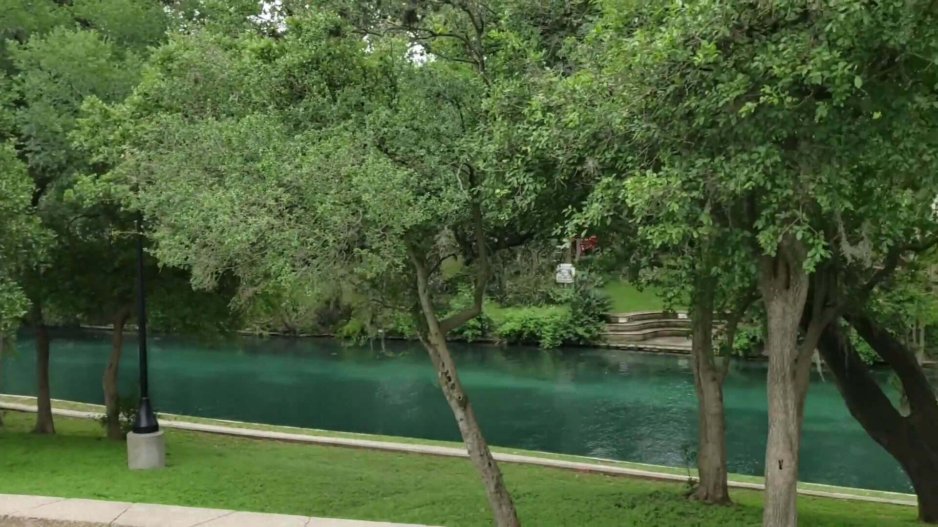 Grassy shaded park grounds along the Comal River at Hinman Island Park