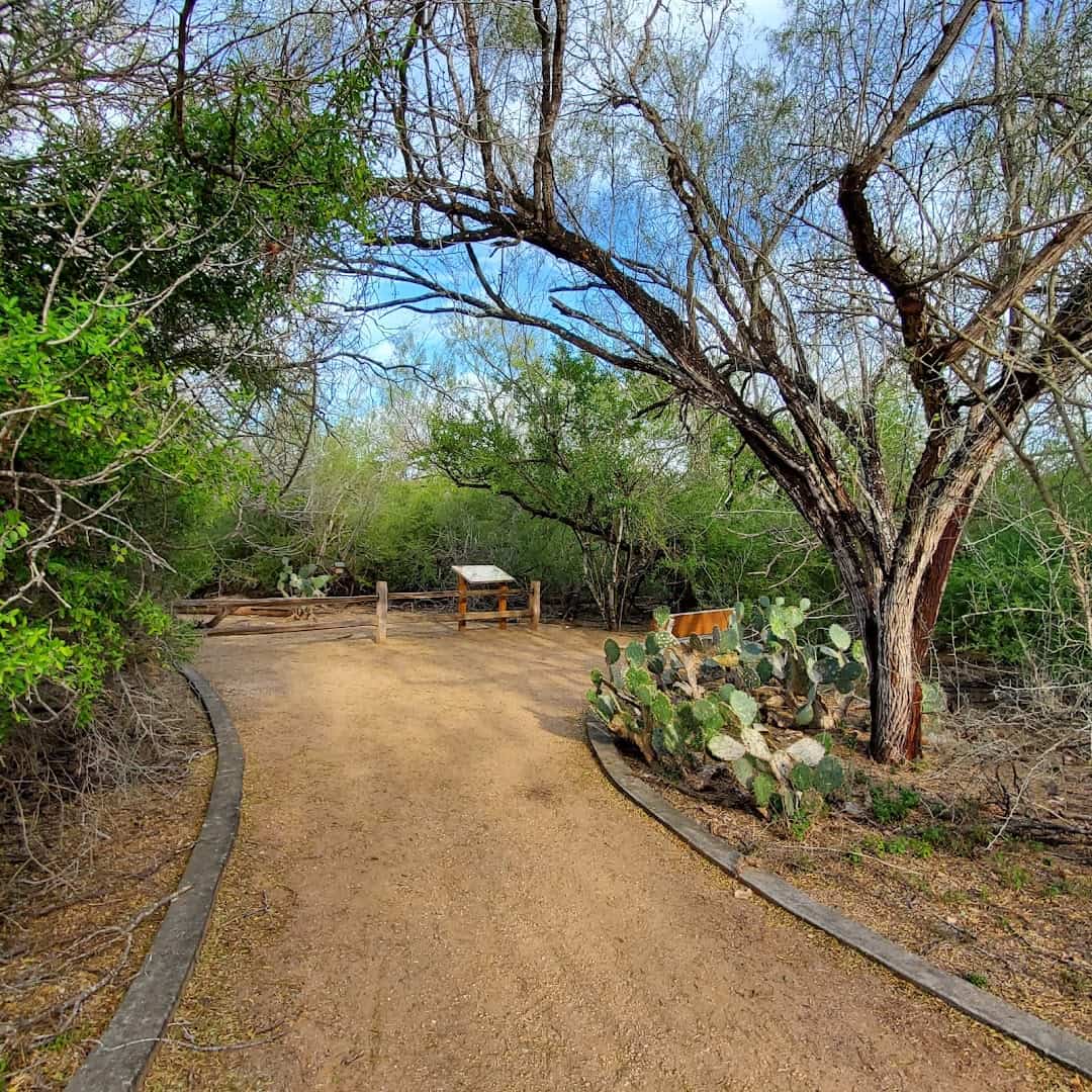 Shaded forest trail winding through the McAllen Nature Center