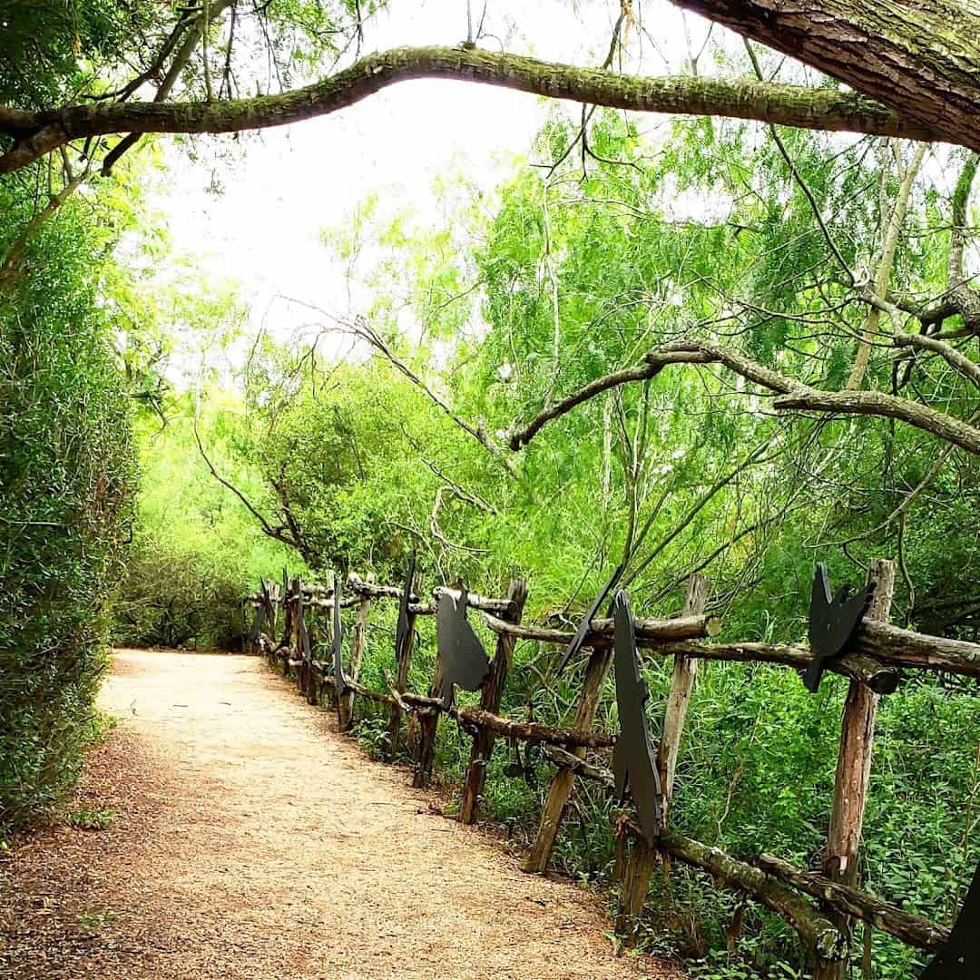 Shaded trail through restored native habitat at Edinburg Scenic Wetlands in Edinburg, Texas