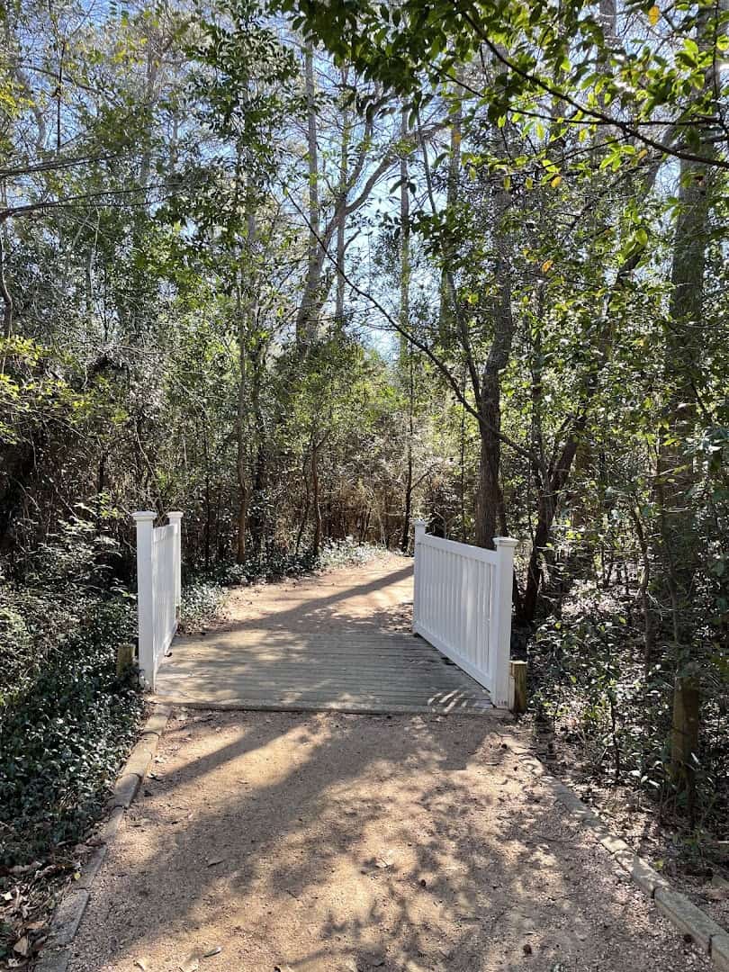 Shaded walking trail through the pines on the Sam Houston Statue grounds