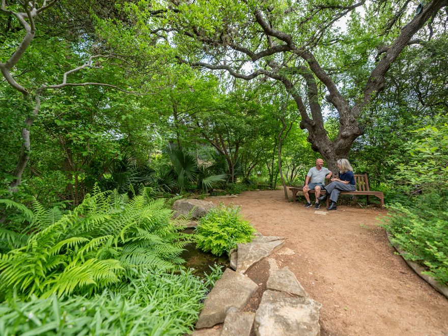 A shaded woodland nature trail at the Lady Bird Johnson Wildflower Center in Austin