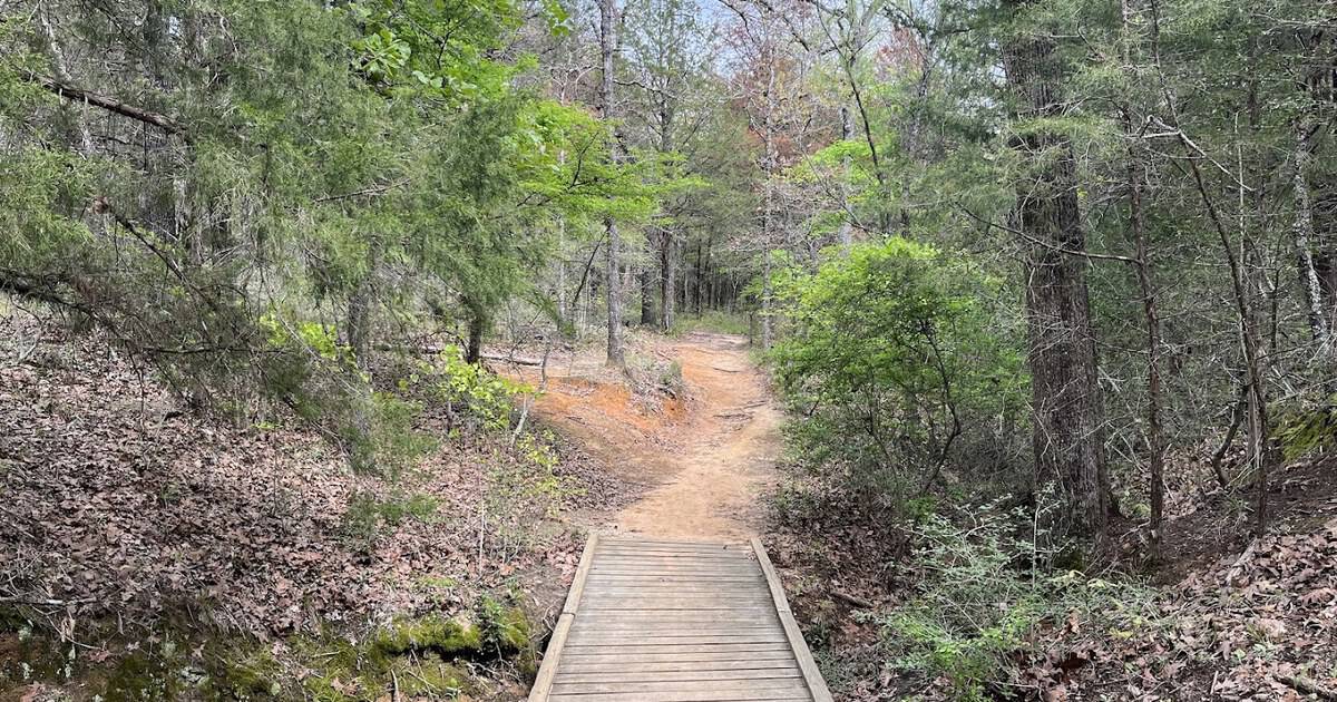 This Shady East Texas Forest Trail Stays Cool and Feels Totally Undiscovered