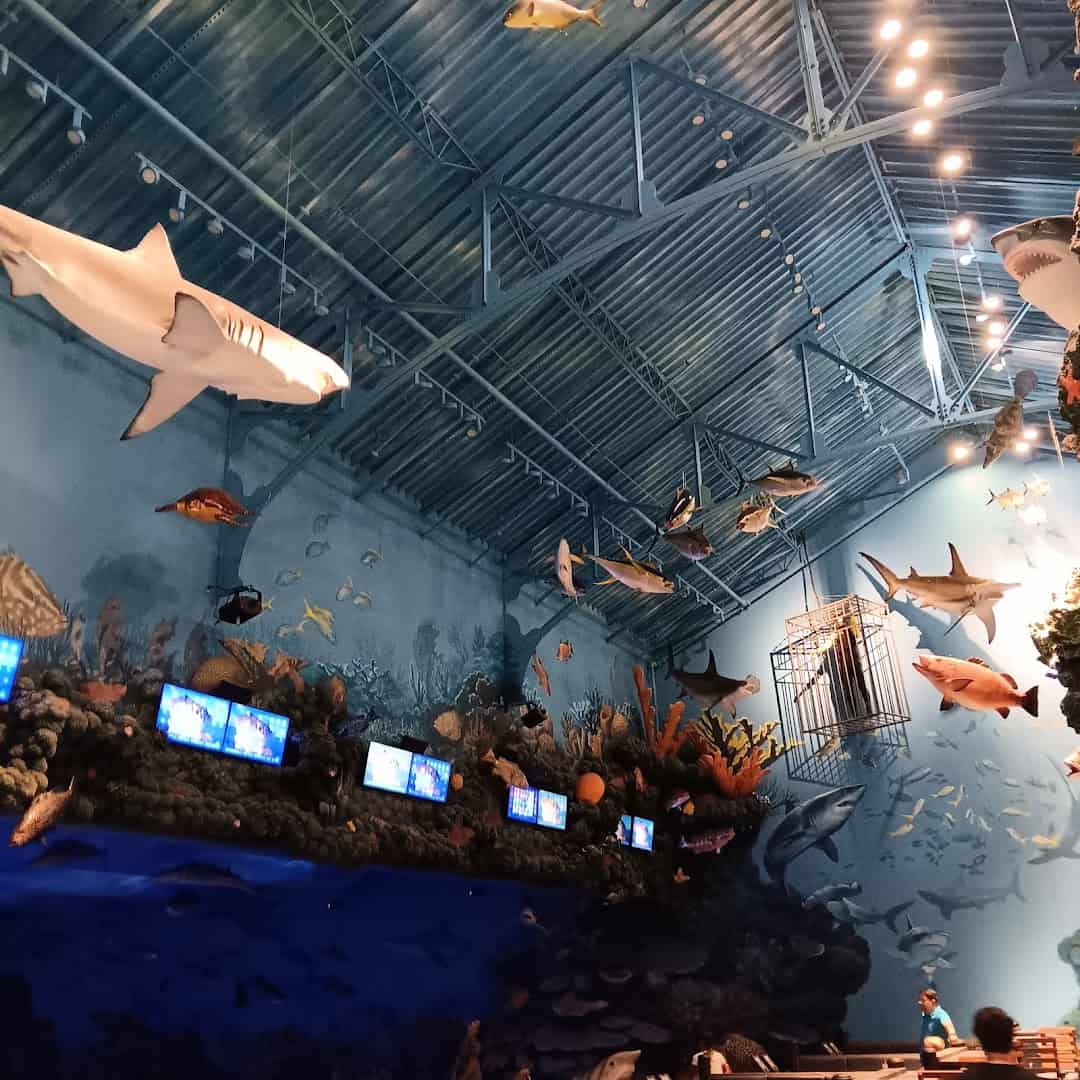 A shark and painted coral reef above the bowling lanes at Uncle Buck's Fishbowl and Grill in Round Rock