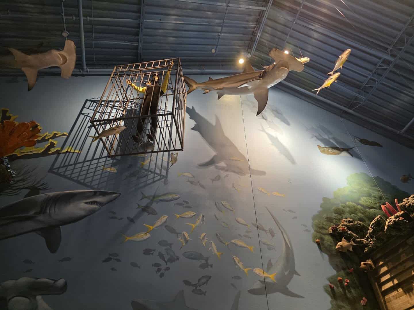 Hanging sharks, a dive cage and fish murals on the ceiling at Uncle Buck's Fishbowl and Grill in Round Rock