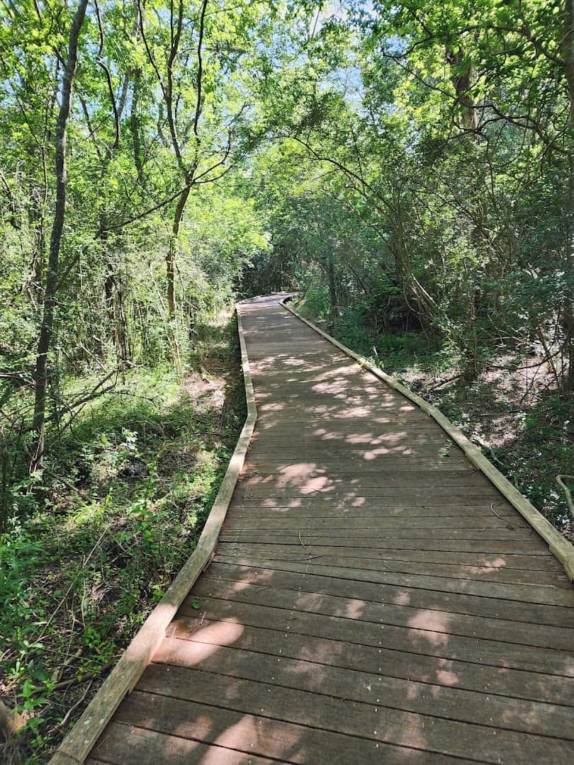 Boardwalk trail through the woods at Sheldon Lake State Park in Houston, Texas