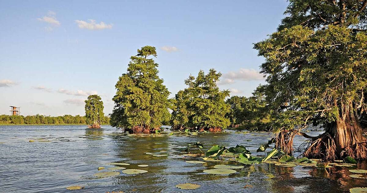 This Hidden Texas Lake Lets You Fish for Free Without a License