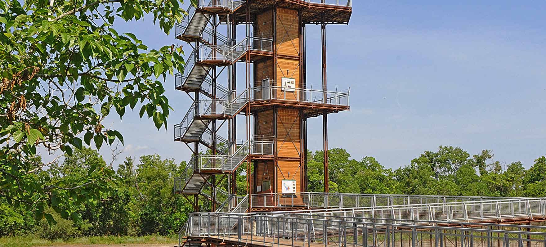 The John Jacob Observation Tower framed by a tree at Sheldon Lake State Park in Houston, Texas