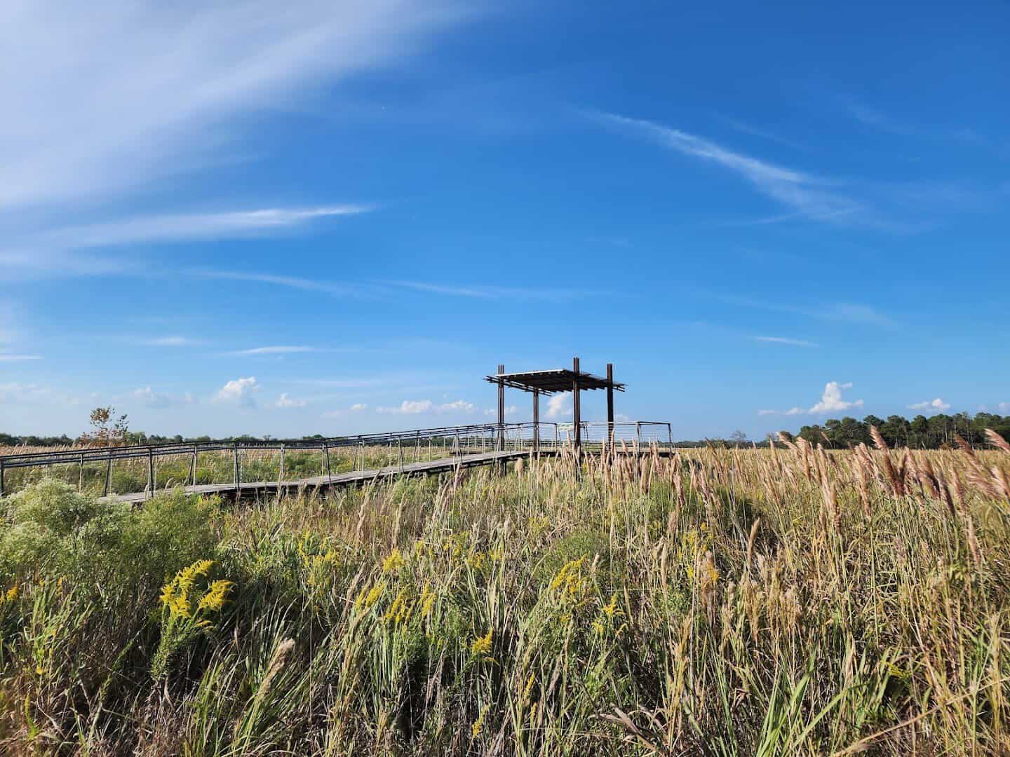 Tallgrass prairie and viewing platform at Sheldon Lake State Park, Houston, Texas