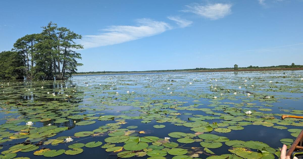 This Secret Texas Lake Lets You Fish for Free Without a License