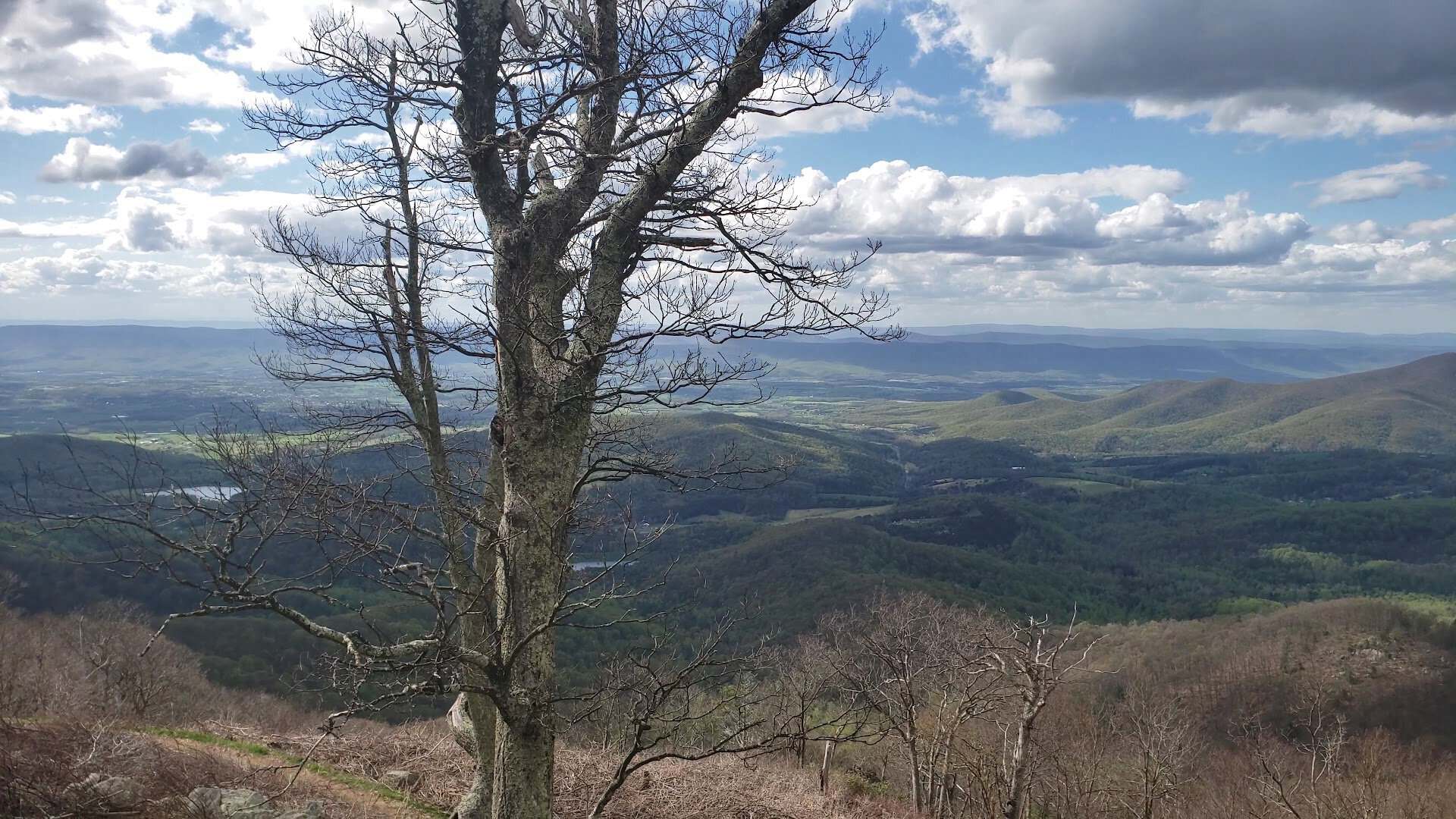 Blue Ridge mountains and the Shenandoah Valley from an overlook in Shenandoah National Park, Virginia